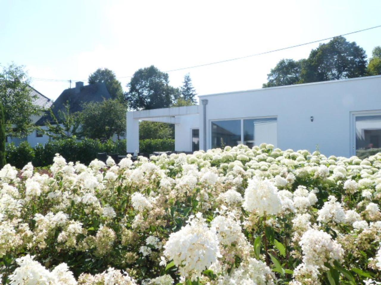 Villa Mosel Morbach Εξωτερικό φωτογραφία